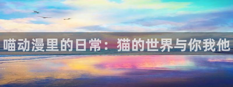 动漫屋视频：喵动漫里的日常：猫的世界与你我他